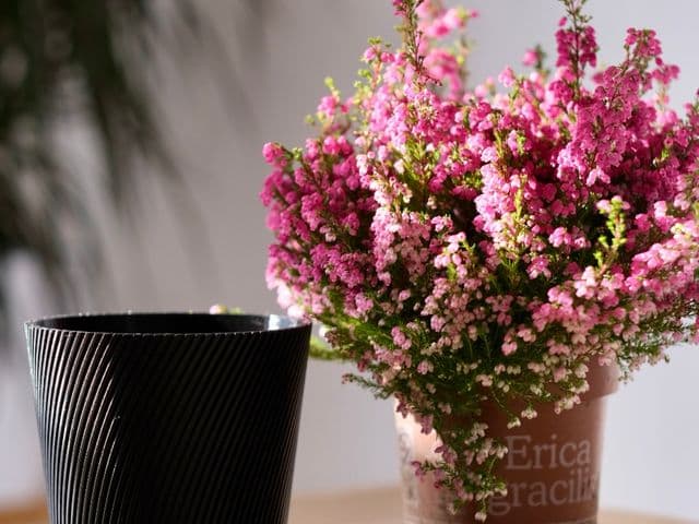 Modern Spiral Planter